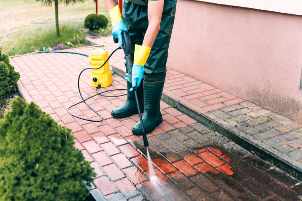 Local Pressure Washing Services in Bensenville, IL