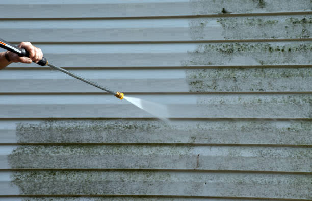 Best Sidewalk Pressure Washing  in Bensenvle, IL