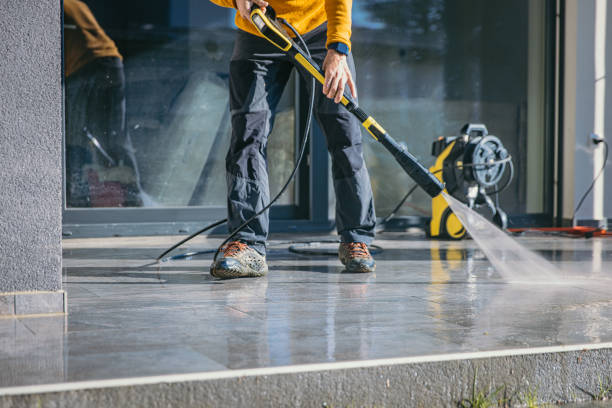 Best Roof Power Washing Services  in Bensenvle, IL