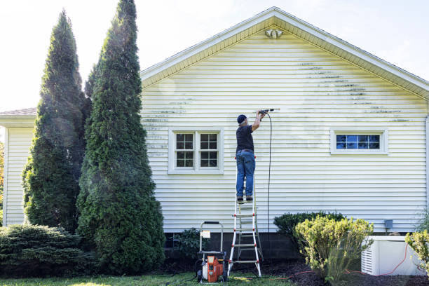Best Fence Pressure Washing  in Bensenvle, IL